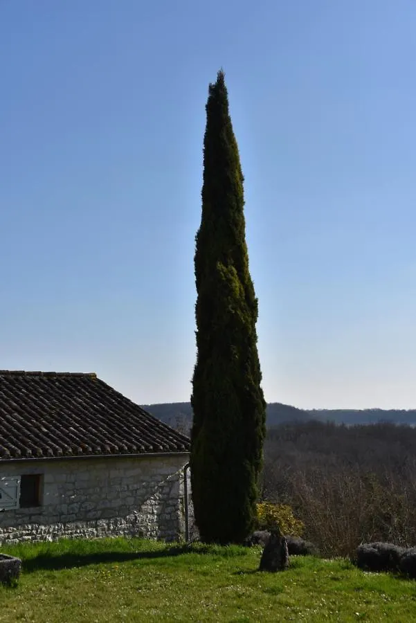 卡斯泰尔诺－蒙特拉蒂耶Les Collines Du Quercy Blanc别墅 度假居 卡斯泰尔诺－蒙特拉蒂耶